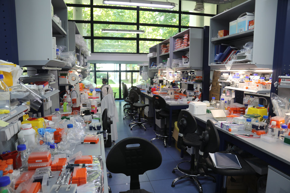 A genetics laboratory with long benches full of pipettes, sample racks and equipment, and a researcher in a white coat in the background