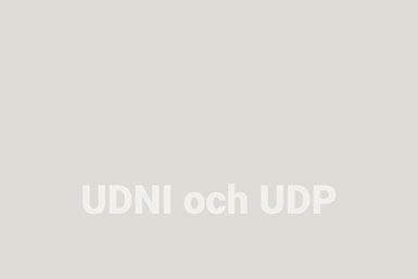 Grå bakgrund med vit text: UDNI och UDP