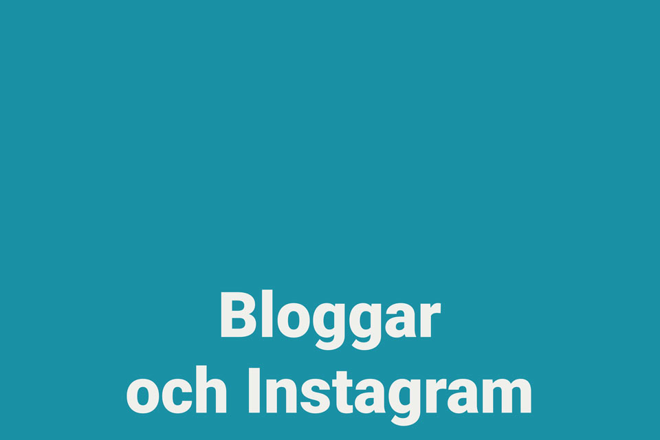 Länk till föräldrars bloggar och Instagram om att vara föräldrar till ett odiagnostiserat barn