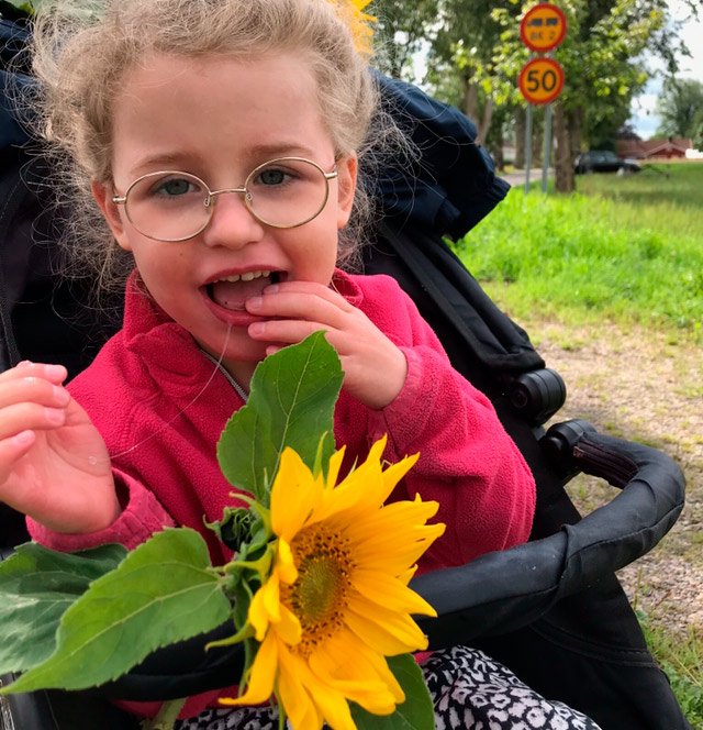 Girl sitts in a carrige and has a Sunflower