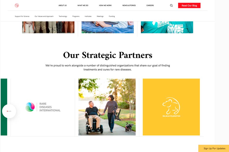 A screen shot of Chan Zuckerberg Initiative's website. In the middle it's a text "Our Strategic Partners We’re proud to work alongside a number of distinguished organizations that share our goal of finding treatments and cures for rare diseases."  Under the text there is 3 photos. The photo to the left is Rare Diseases International's logo, in the middle it's a man in a wheelchair holding hand with a walking woman and she has a little dog with a leash. To the right is a yellow square with Wilhelm Foundation's logo an outline of the lion Simba.